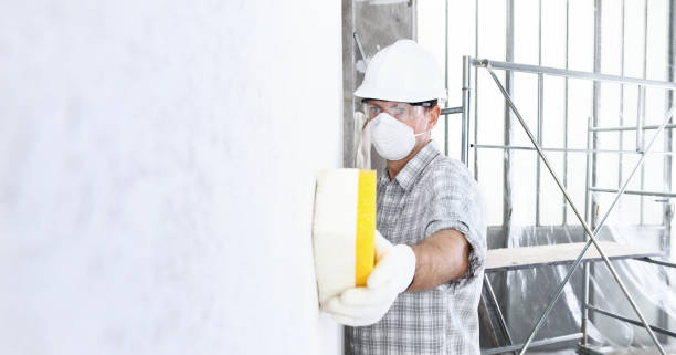 Best Commercial Mold Inspection  in Bliss Corner, MA