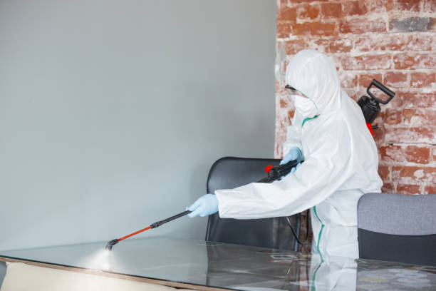 Best Asbestos and Lead Testing During Mold Inspection  in Bliss Corner, MA